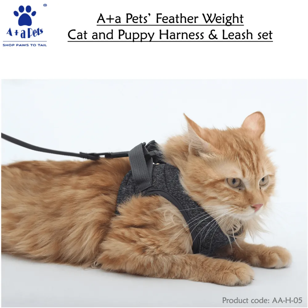 A Plus A Pets Feather Weight Harness & Leash Set for Dogs and Cats