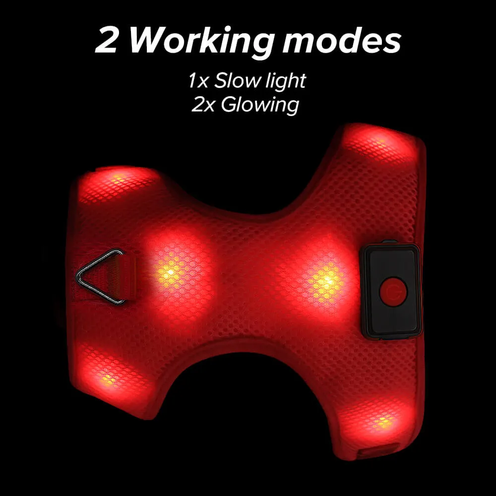 BSEEN LED Dog Harness