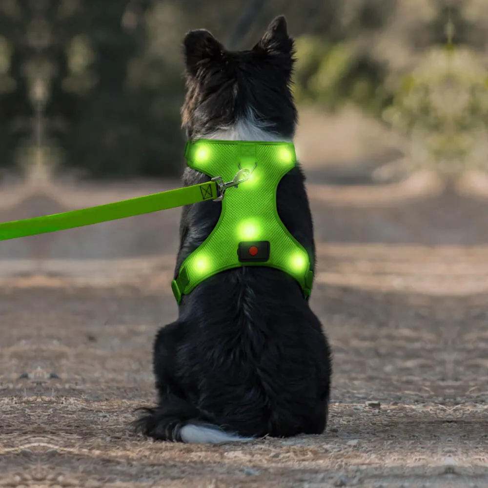 BSEEN LED Dog Harness
