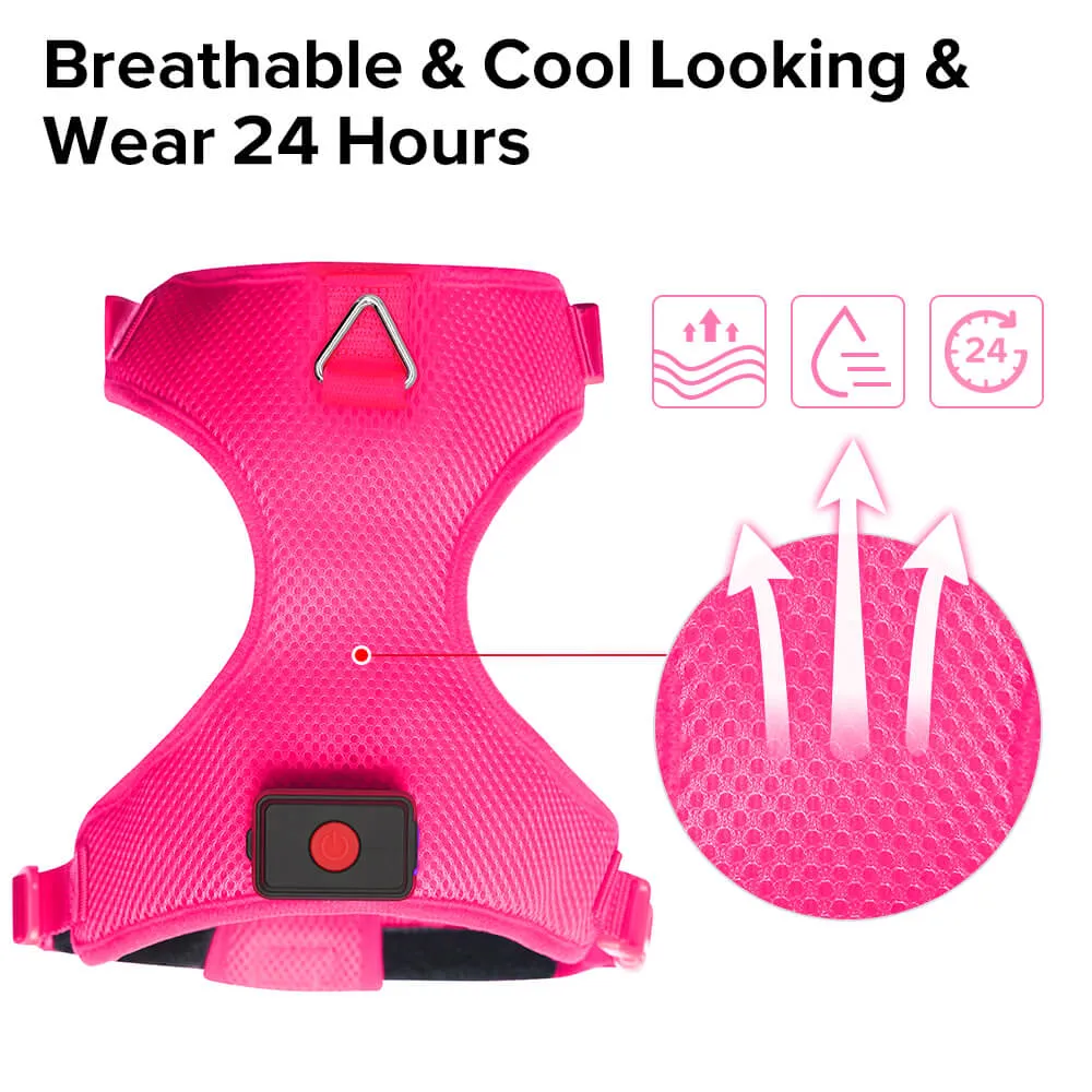 BSEEN LED Dog Harness