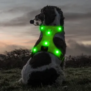 BSEEN LED Dog Harness