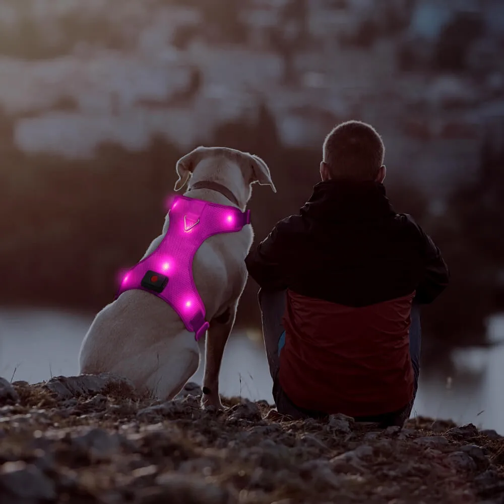BSEEN LED Dog Harness