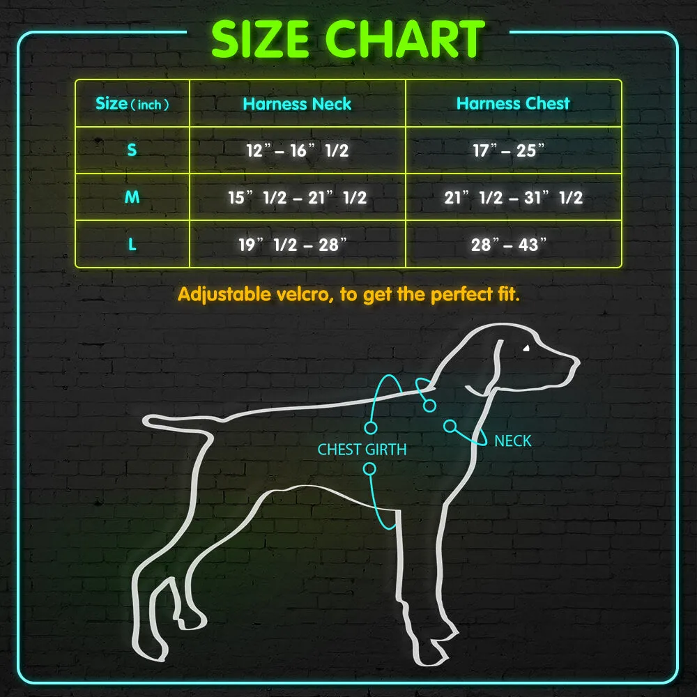 BSEEN LED Dog Harness