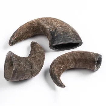 Buffalo Hornz Water Buffalo Horn Dog Chew