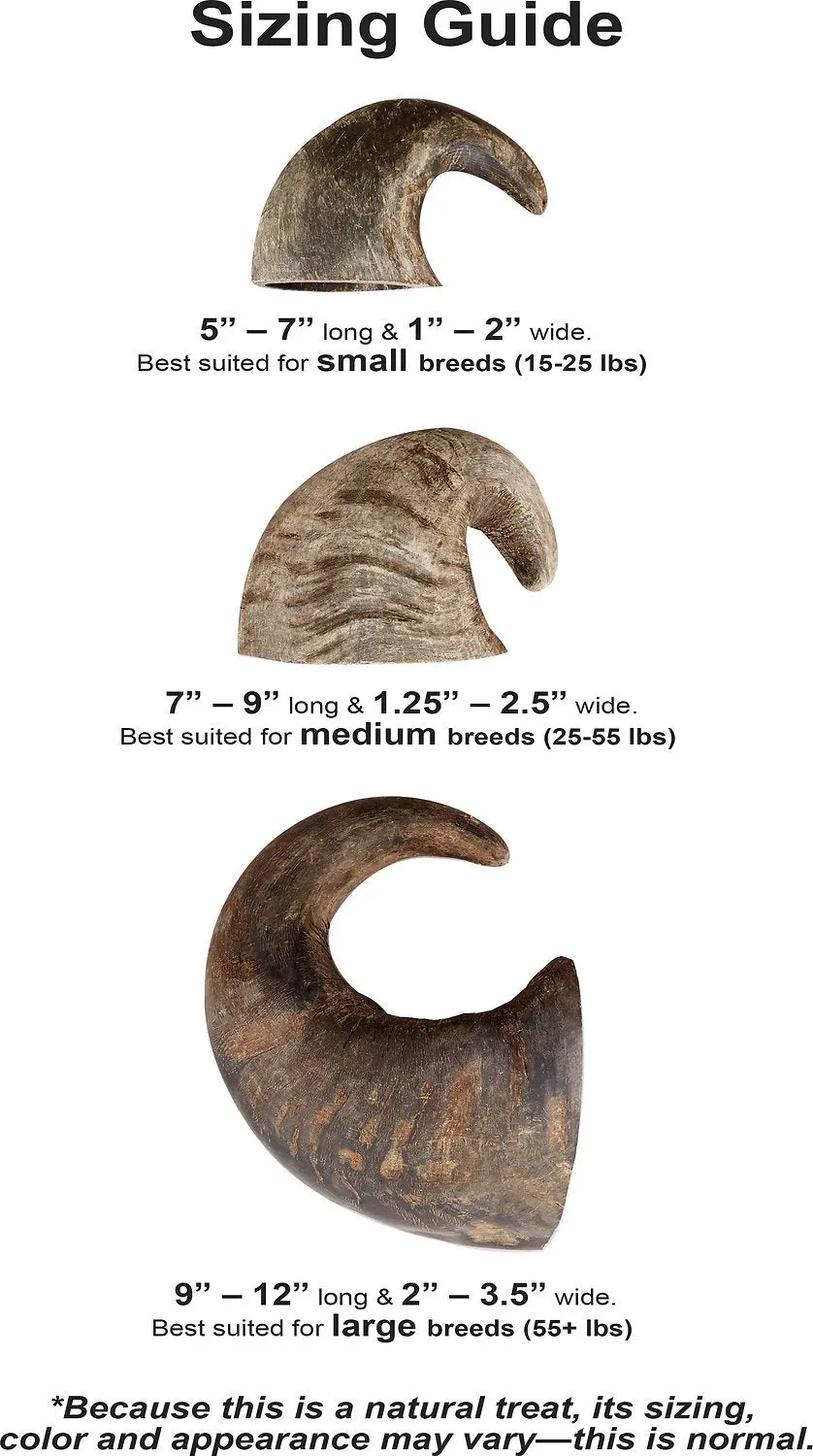 Buffalo Hornz Water Buffalo Horn Dog Chew