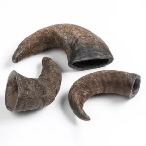 Buffalo Hornz Water Buffalo Horn Dog Chew