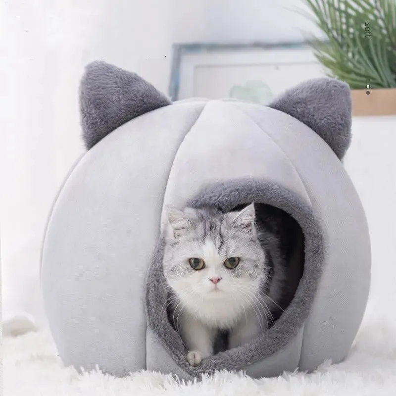 CozyPaws Pet Retreat