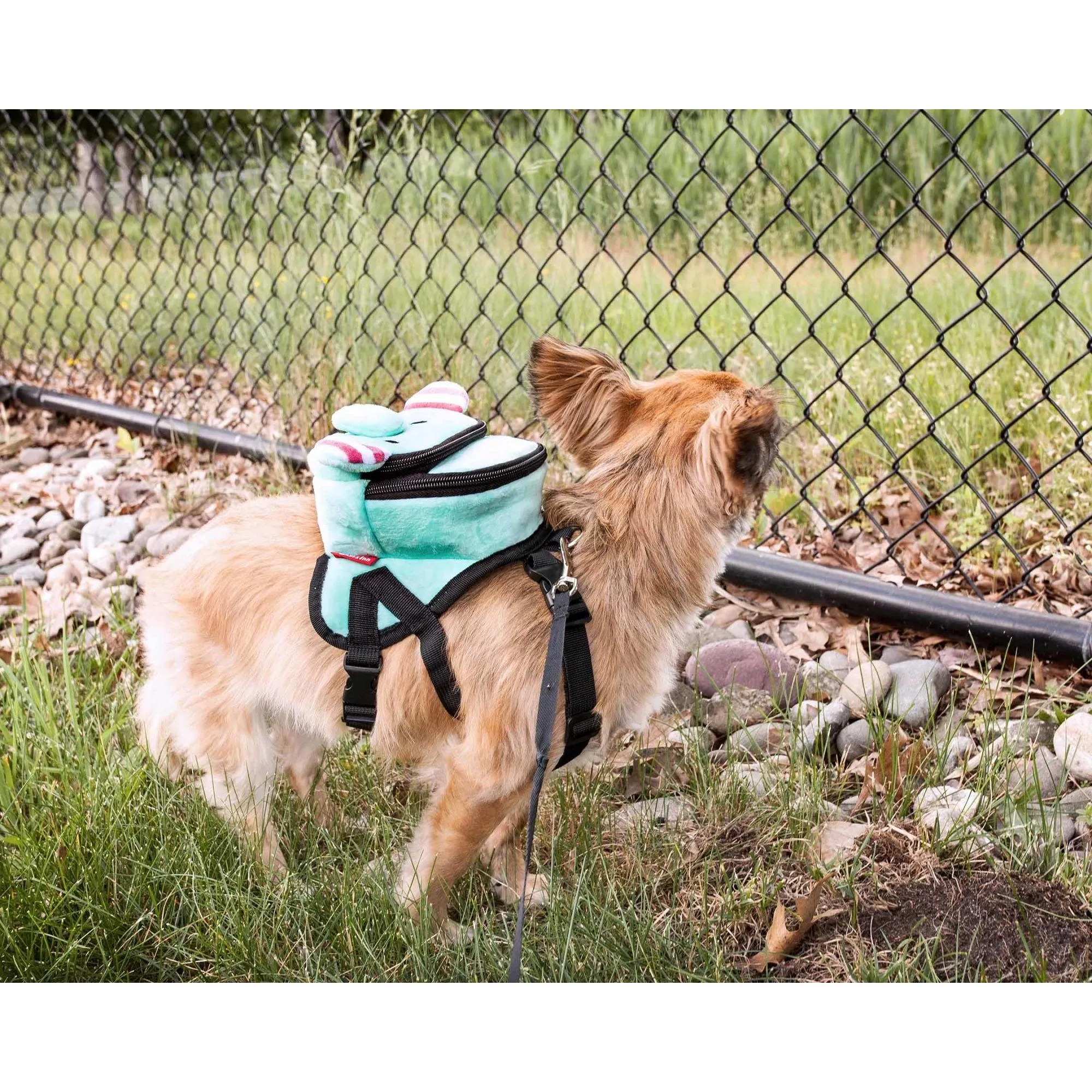 Dog Harness Backpack Straps