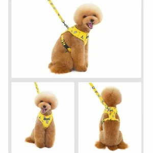 dog harness Yellow M KLN20069