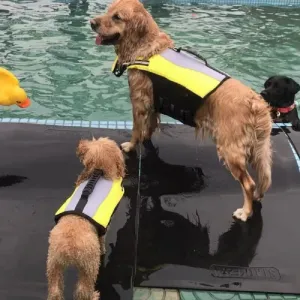 Dog Inflatable Life Jacket Foldable and Convenient Safety Swimming Reflective Suit