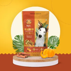 Dogsee Chew Gigabites Pumpkin and Cinnamon Dog Cookie Treats