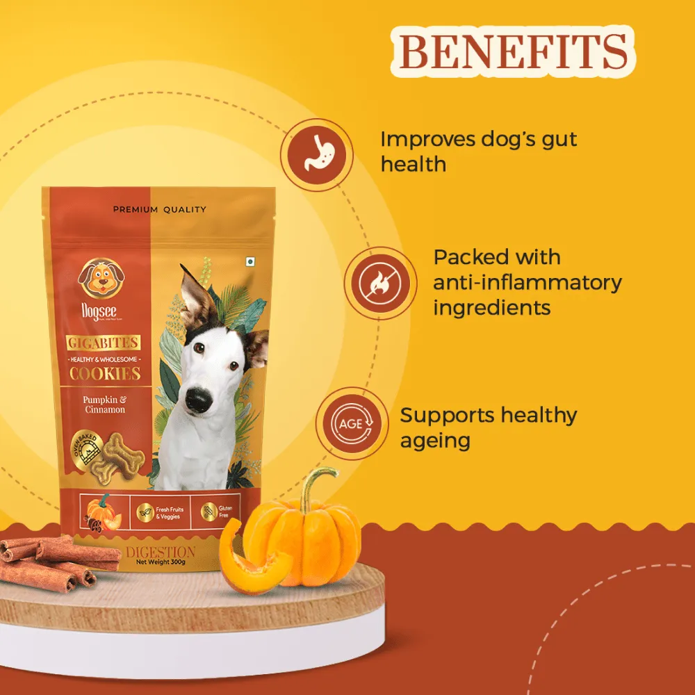 Dogsee Chew Gigabites Pumpkin and Cinnamon Dog Cookie Treats