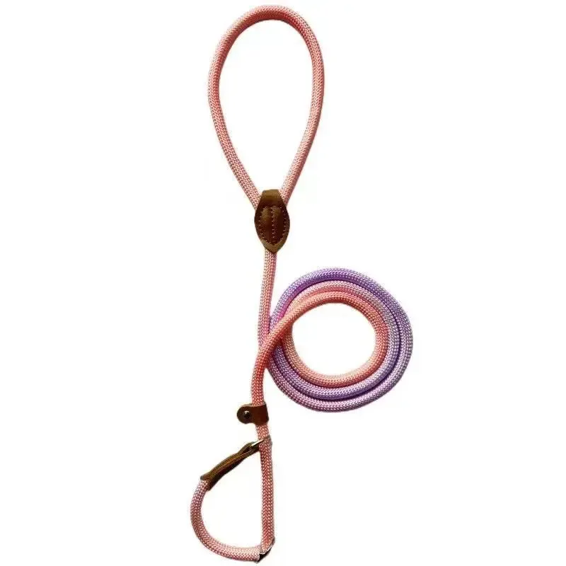 Durable Nylon Dog Leash for Puppies and Adult Dogs