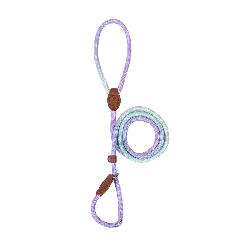 Durable Nylon Dog Leash for Puppies and Adult Dogs