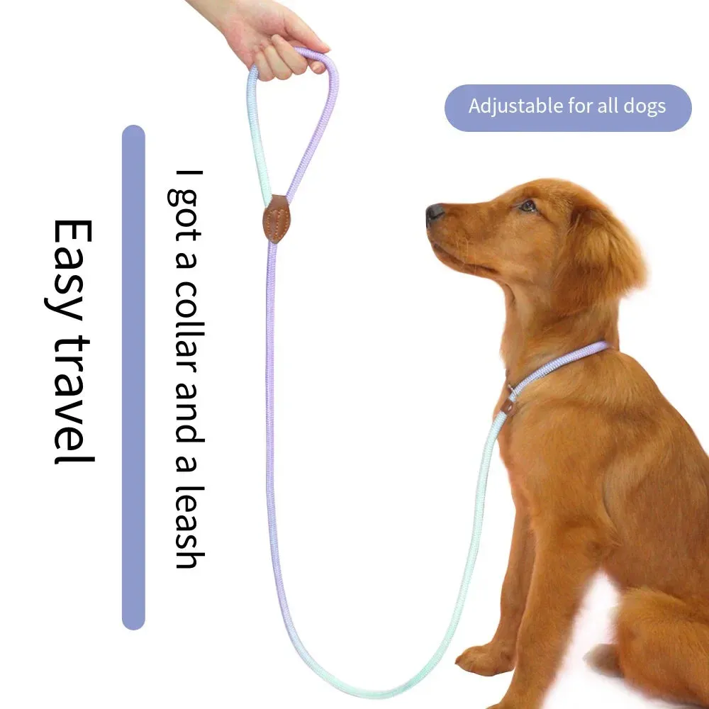 Durable Nylon Dog Leash for Puppies and Adult Dogs