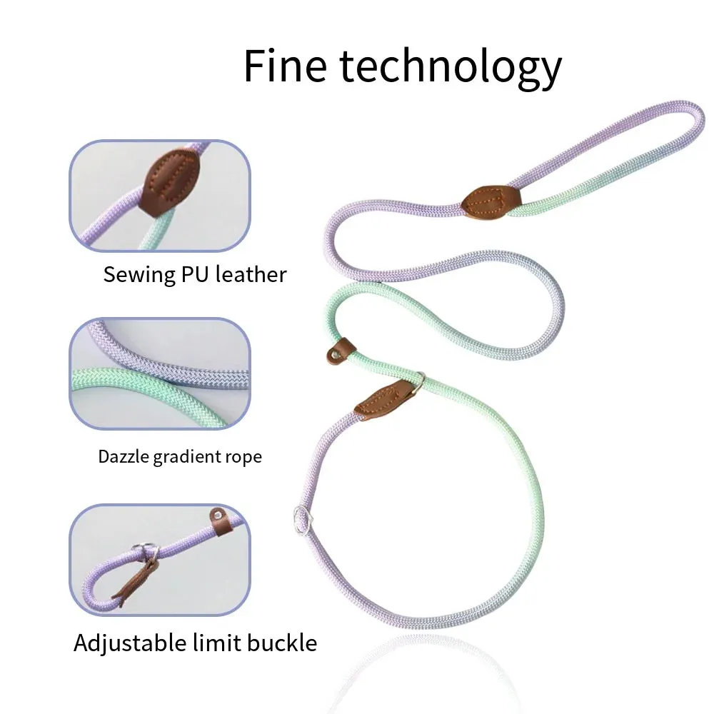 Durable Nylon Dog Leash for Puppies and Adult Dogs