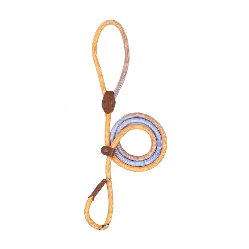 Durable Nylon Dog Leash for Puppies and Adult Dogs