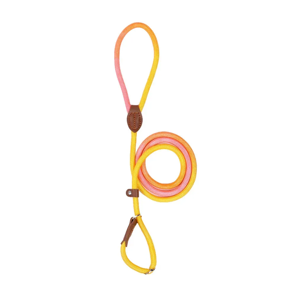 Durable Nylon Dog Leash for Puppies and Adult Dogs