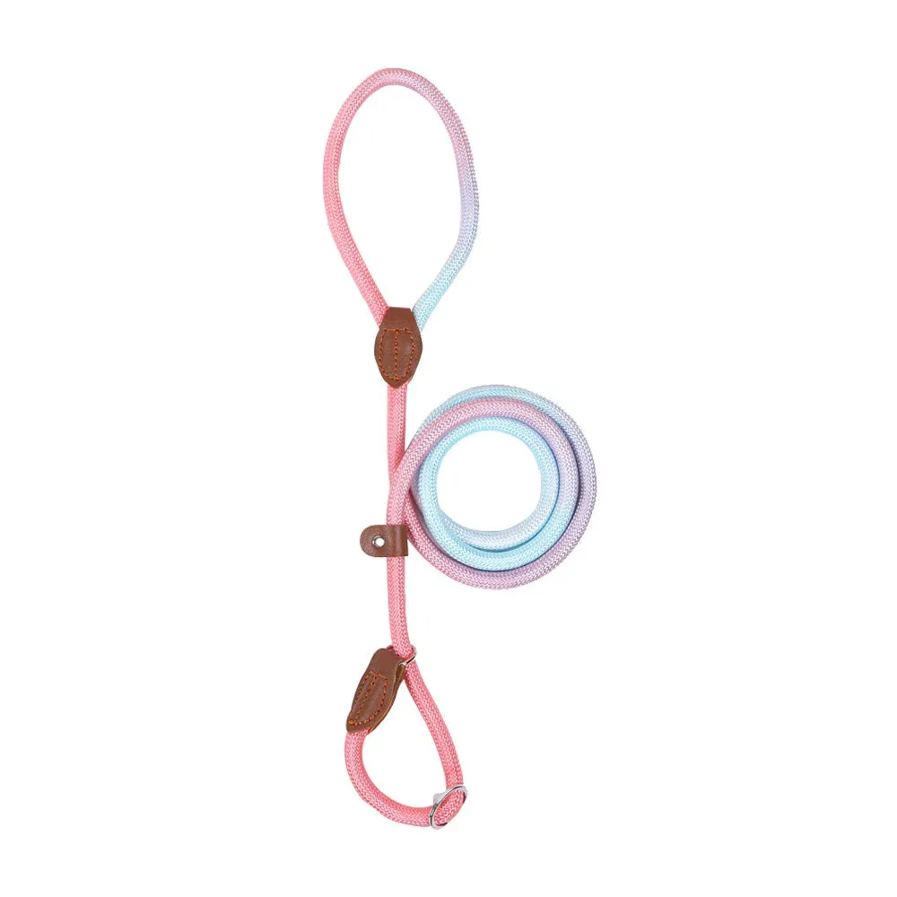 Durable Nylon Dog Leash for Puppies and Adult Dogs