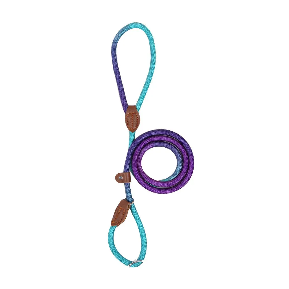 Durable Nylon Dog Leash for Puppies and Adult Dogs