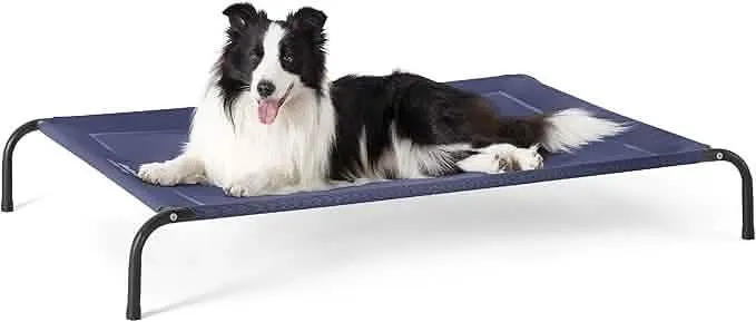 Elevated Dog Cot Bed with Breathable Mesh