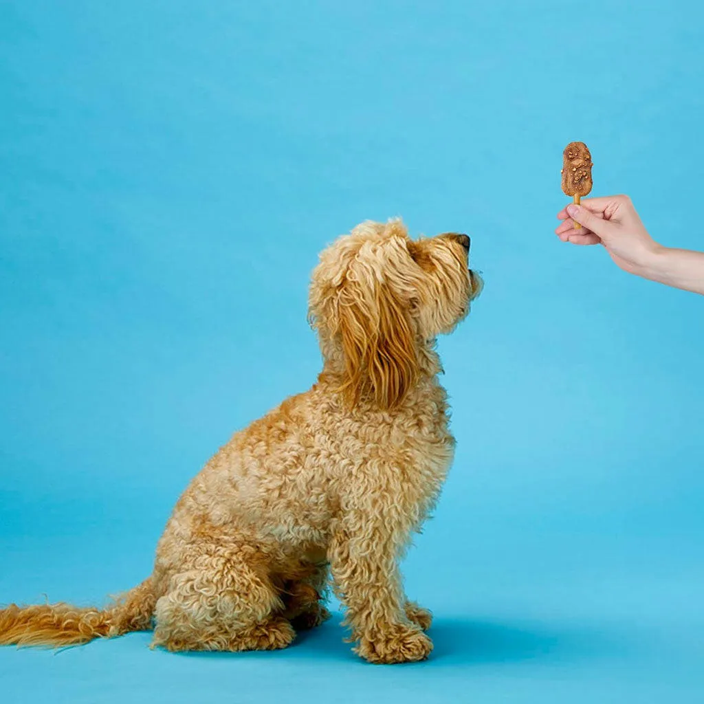 Ethical Pup Ice Choccy Lollies Peanut Butter & Chocolate Ready to Freeze Dog Treats, 2 pack