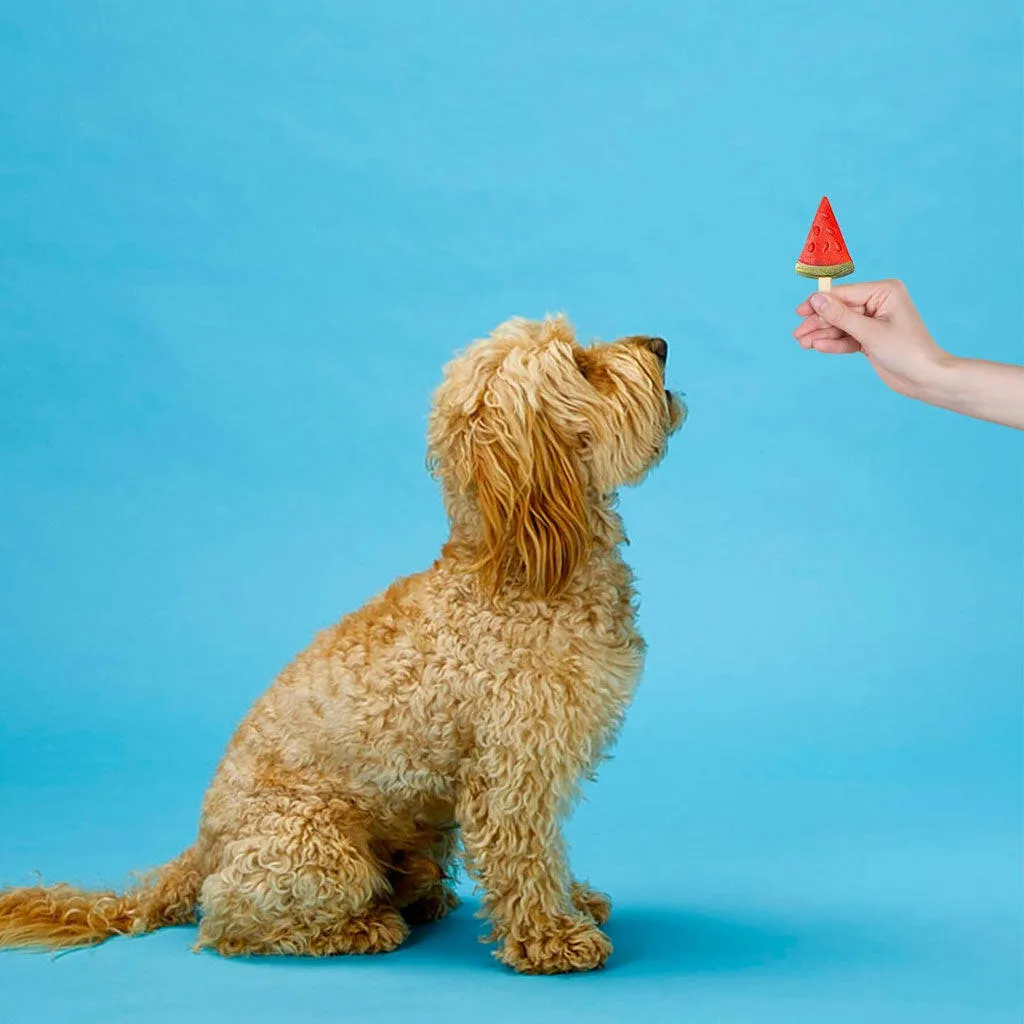 Ethical Pup Ice Fruity Lollies Ready to Freeze Dog Treats, 3-pack