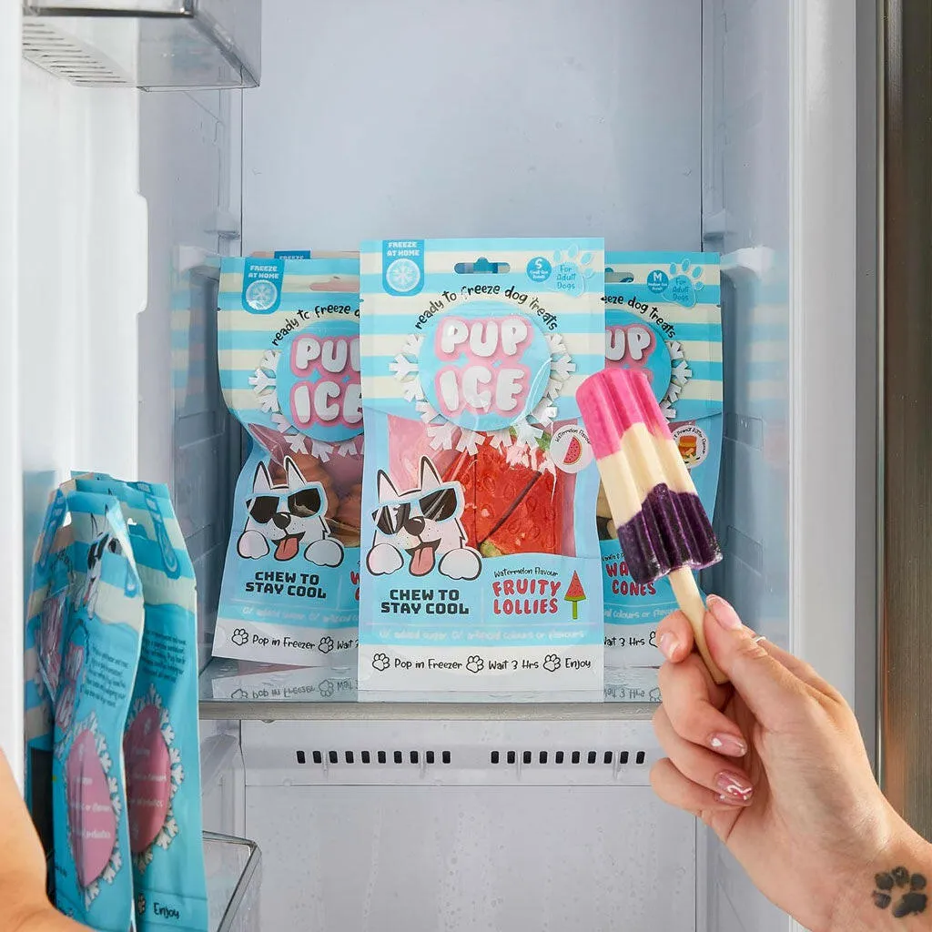 Ethical Pup Ice Rocket Lollies Ready to Freeze Dog Treats, 2 pack