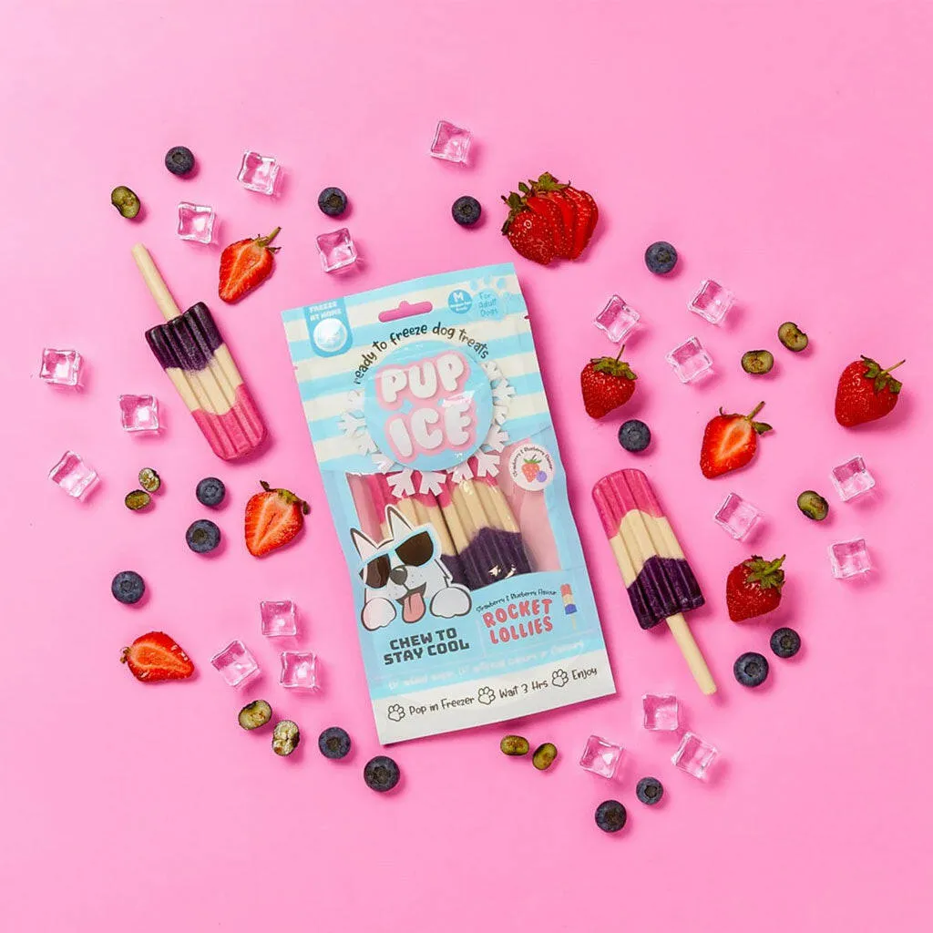 Ethical Pup Ice Rocket Lollies Ready to Freeze Dog Treats, 2 pack