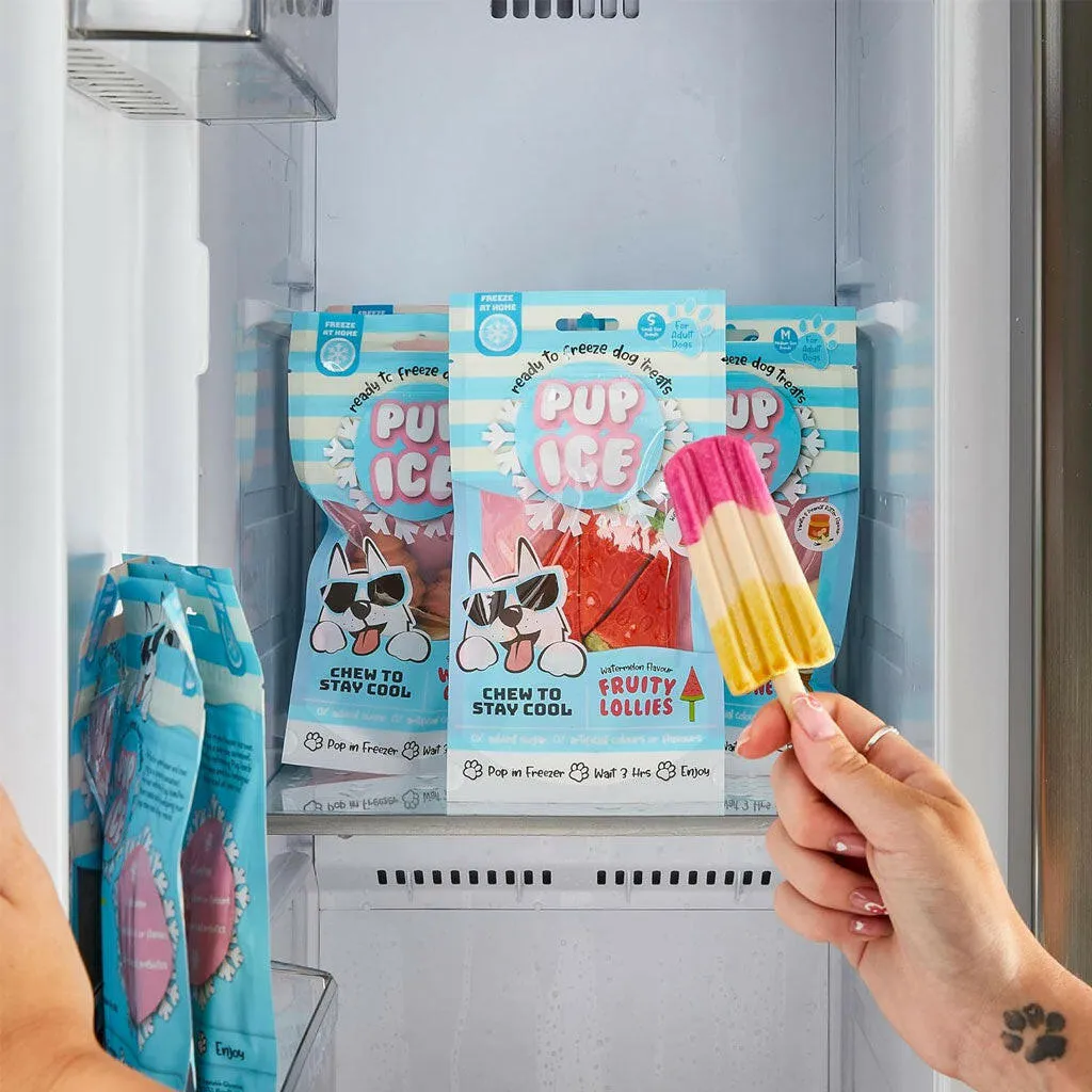 Ethical Pup Ice Rocket Lollies Ready to Freeze Dog Treats, 2 pack