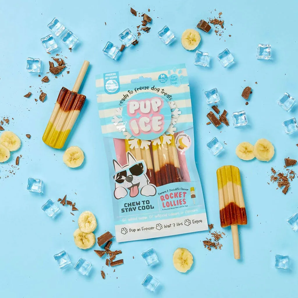 Ethical Pup Ice Rocket Lollies Ready to Freeze Dog Treats, 2 pack