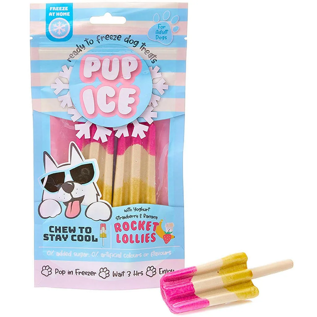 Ethical Pup Ice Rocket Lollies Ready to Freeze Dog Treats, 2 pack