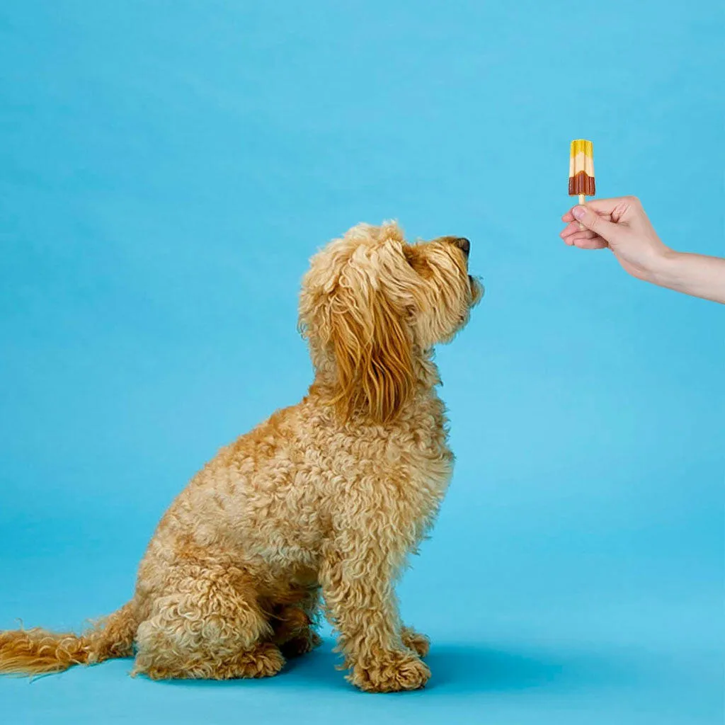 Ethical Pup Ice Rocket Lollies Ready to Freeze Dog Treats, 2 pack