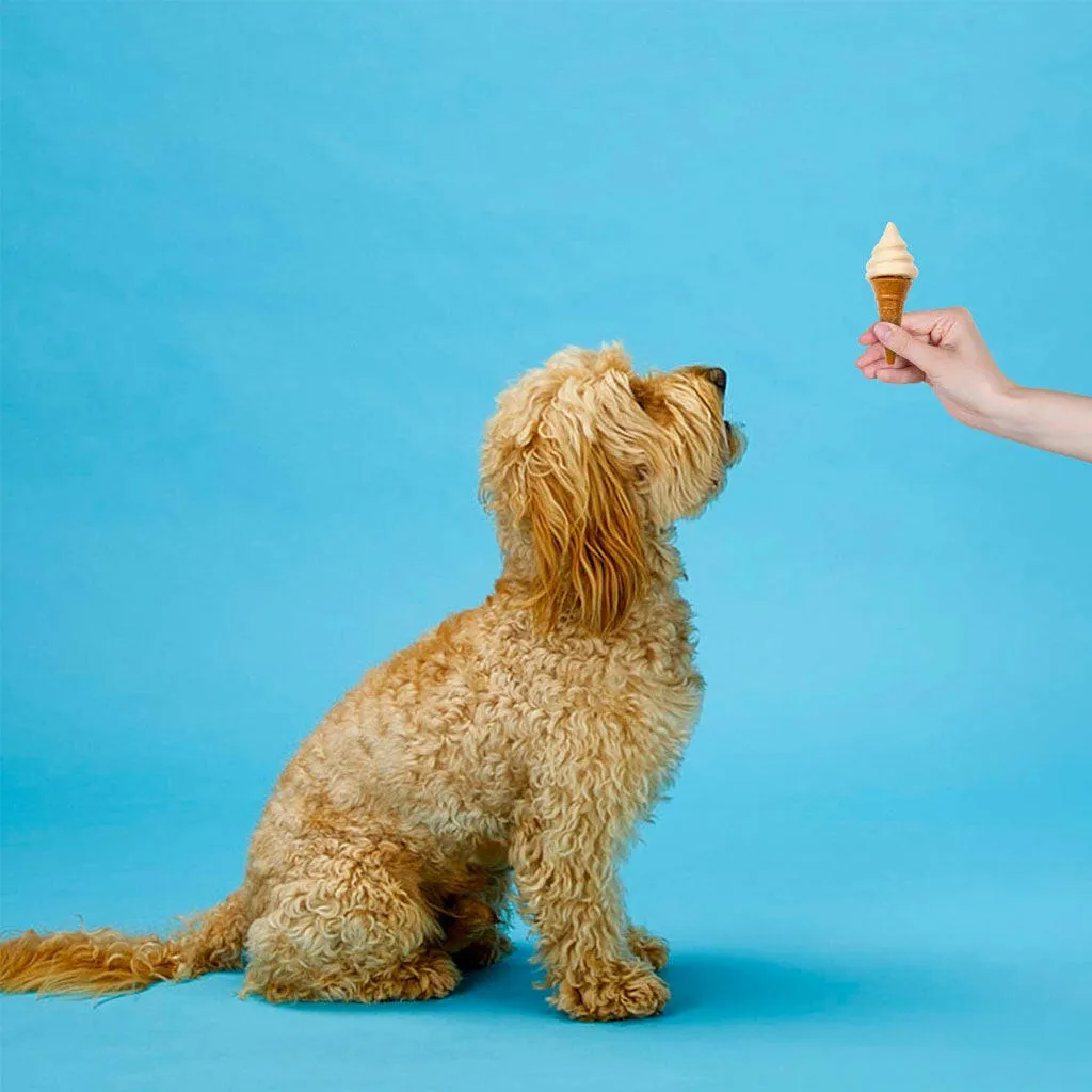 Ethical Pup Ice Waffle Cone Ready to Freeze Dog Treats, 2 pack