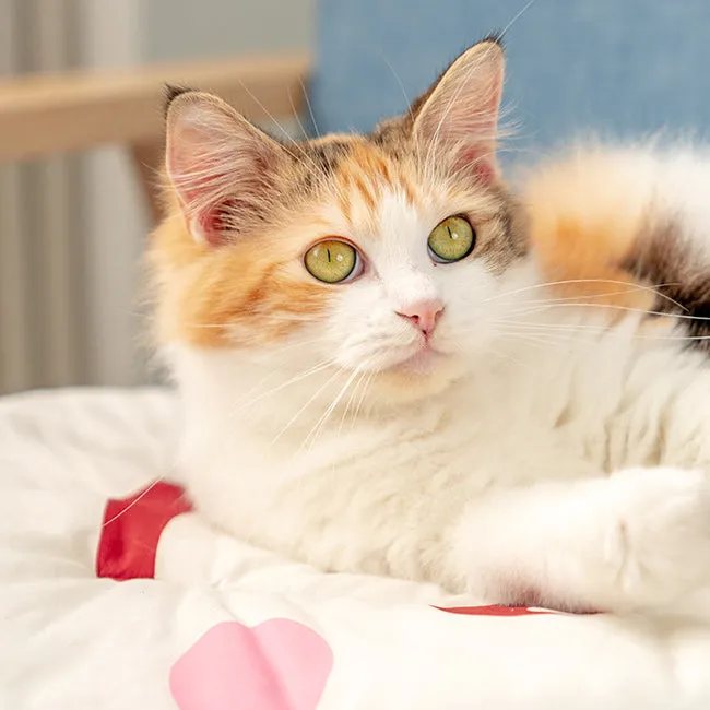 Feli - Summer Cat Bed - Cherry