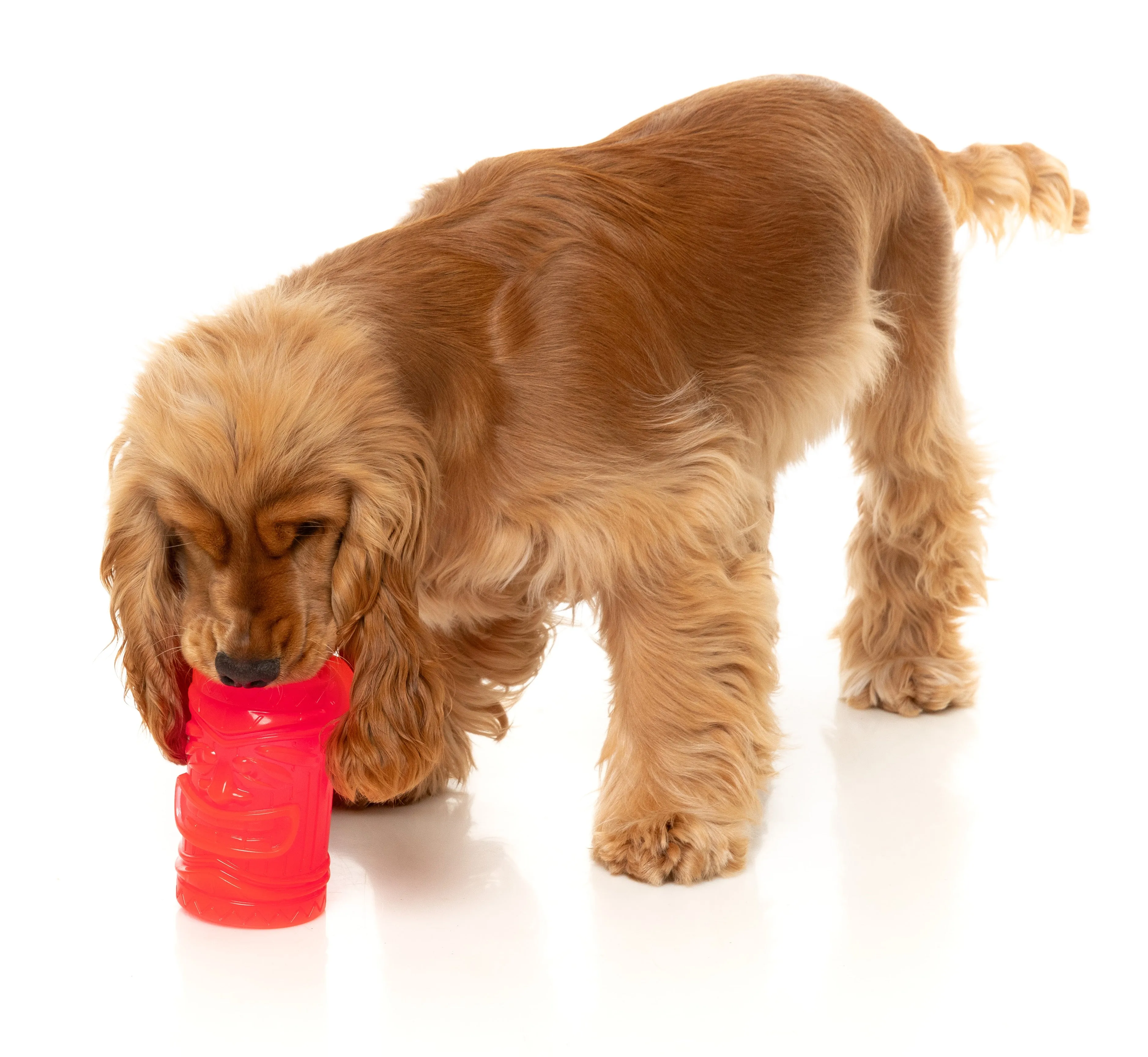 FuzzYard Pina Cool-ada Dog Toy