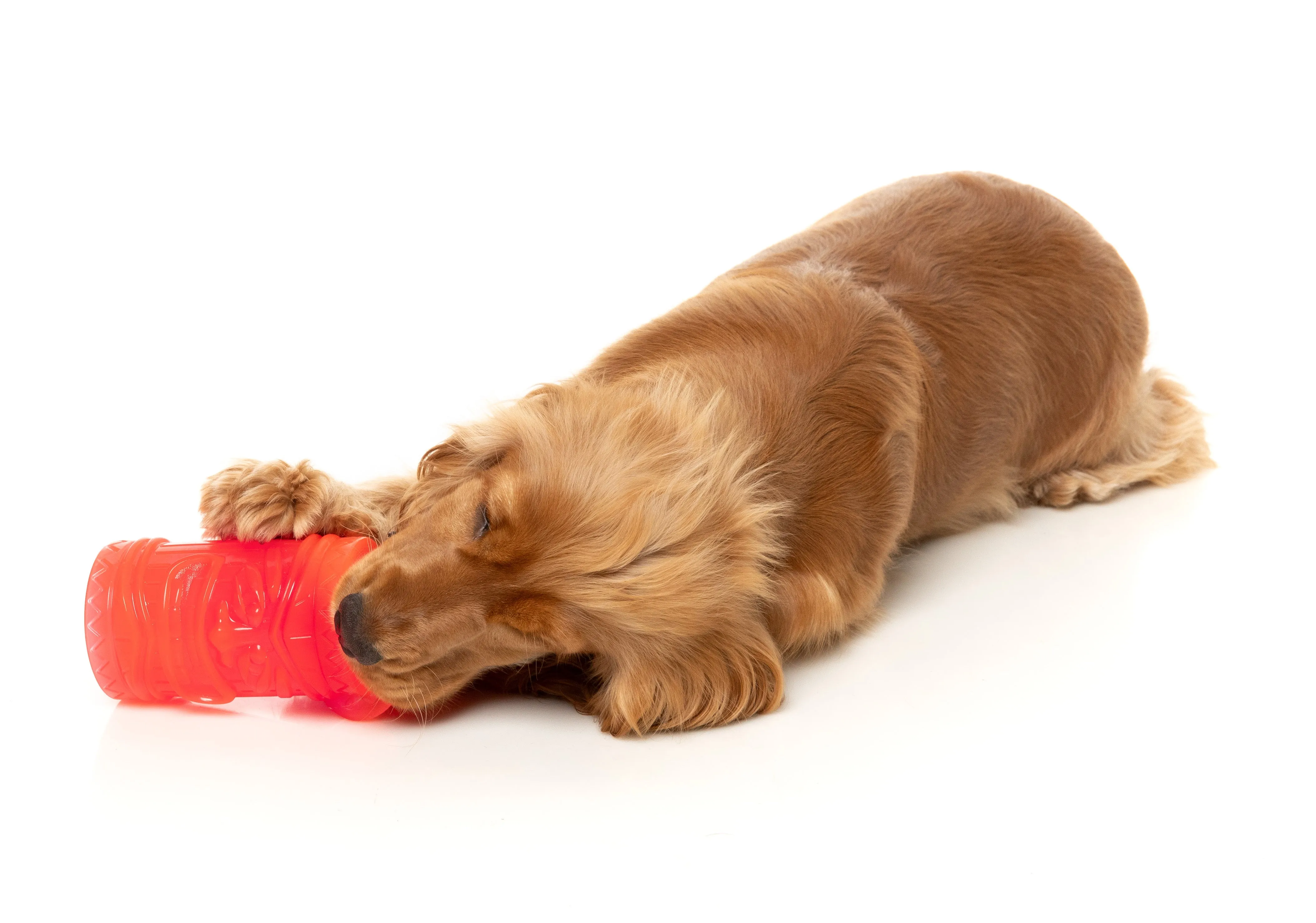 FuzzYard Pina Cool-ada Dog Toy