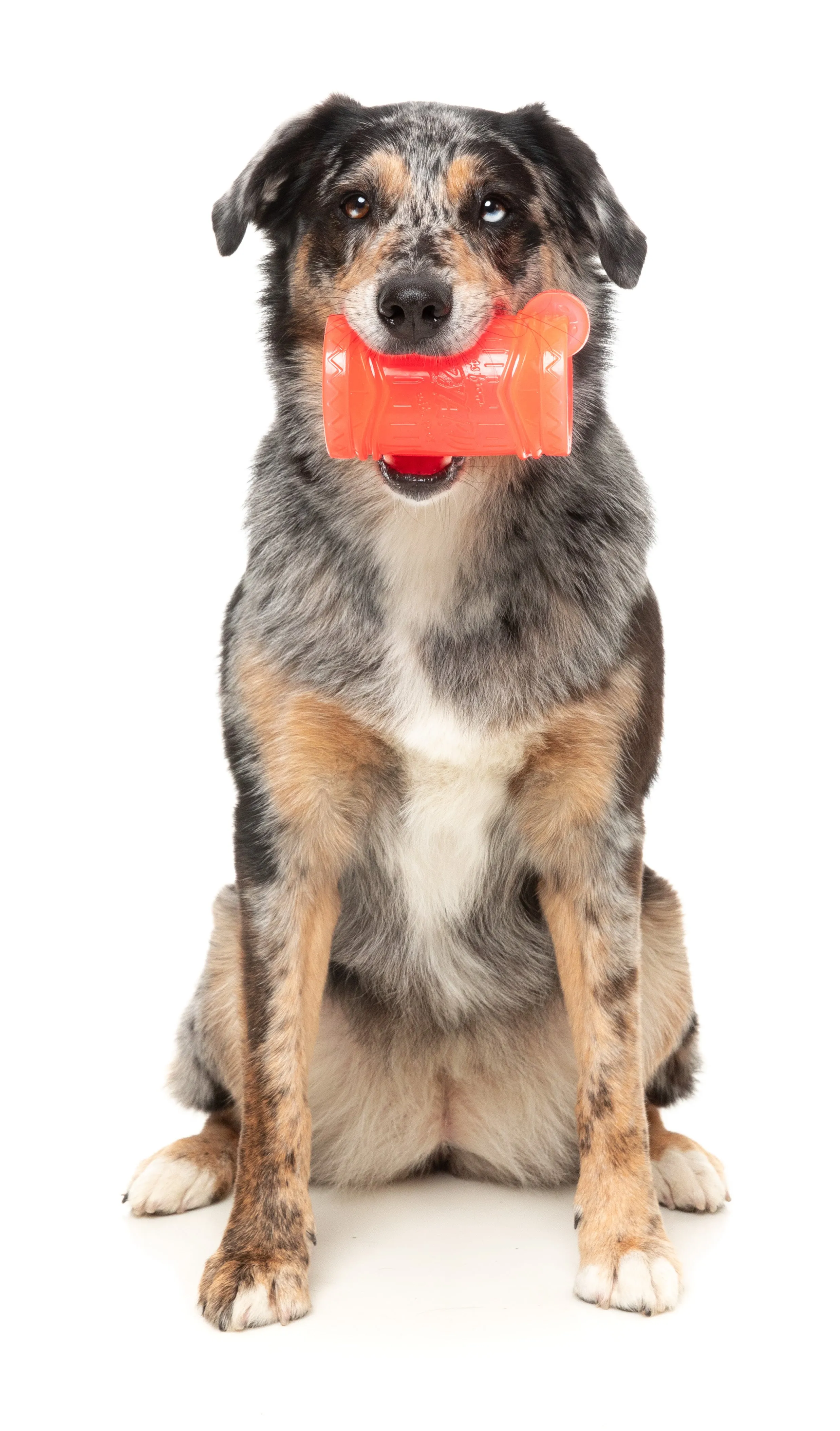 FuzzYard Pina Cool-ada Dog Toy