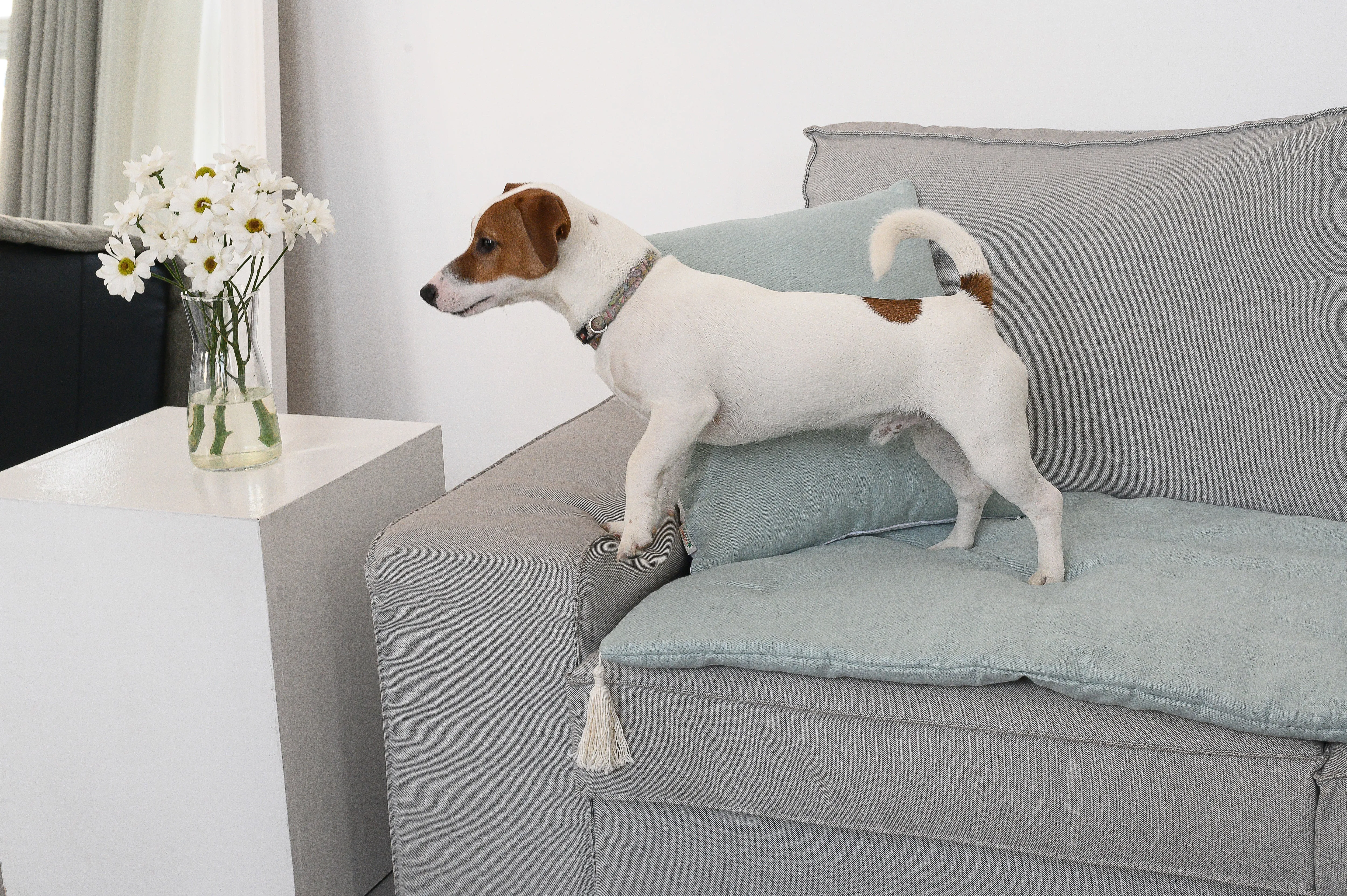 Hemp Linen Sofa Protector Covers for Dogs Cats Machine Washable Furniture Protectors Sofa & Couch Slipcovers Custom made sizes Sofa Topper