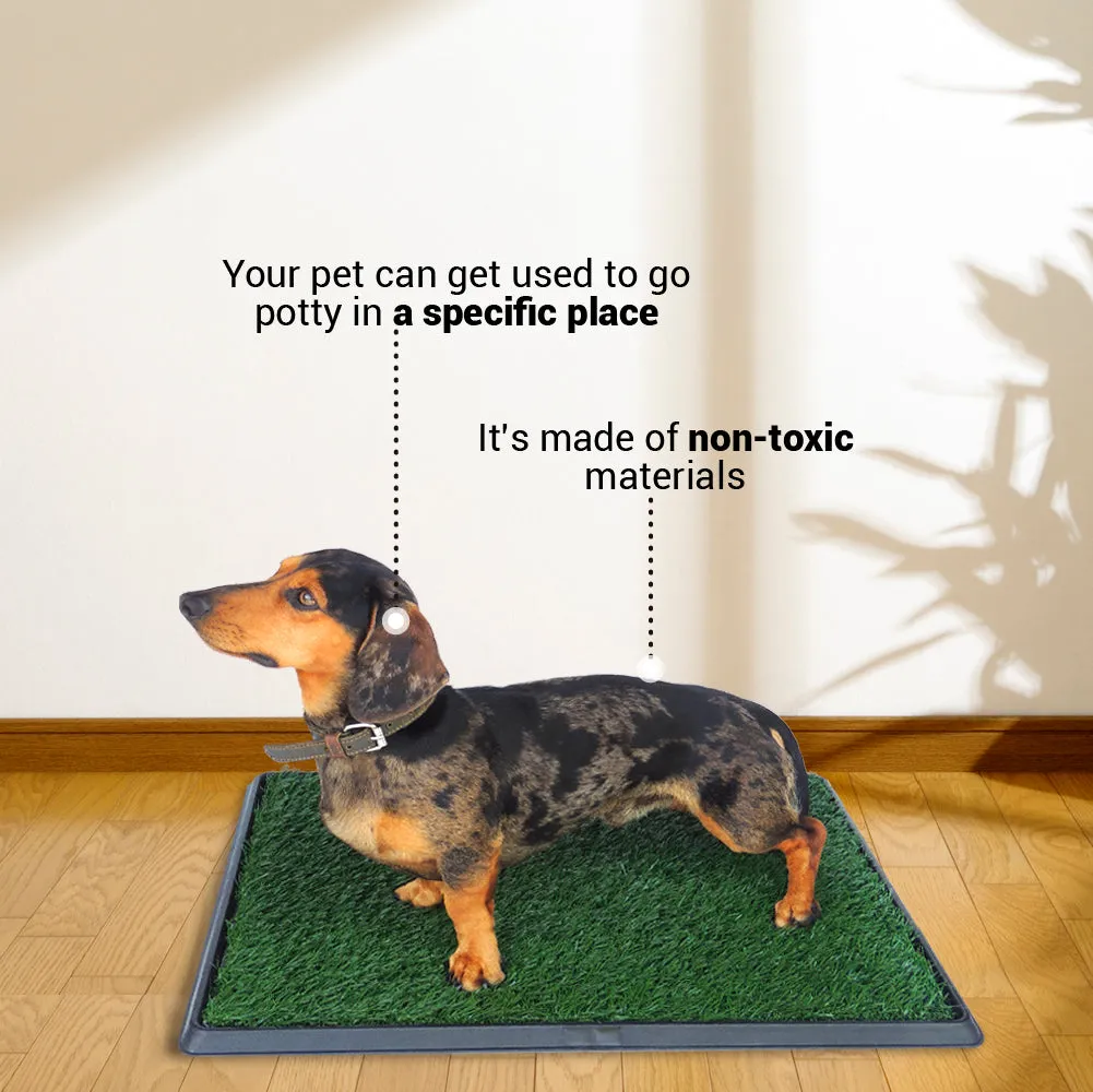 Kanu Pet Outdoor Pet Park for Dog Grass Toilet