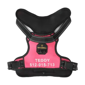 MASBRILL Custom Dog Harness with name