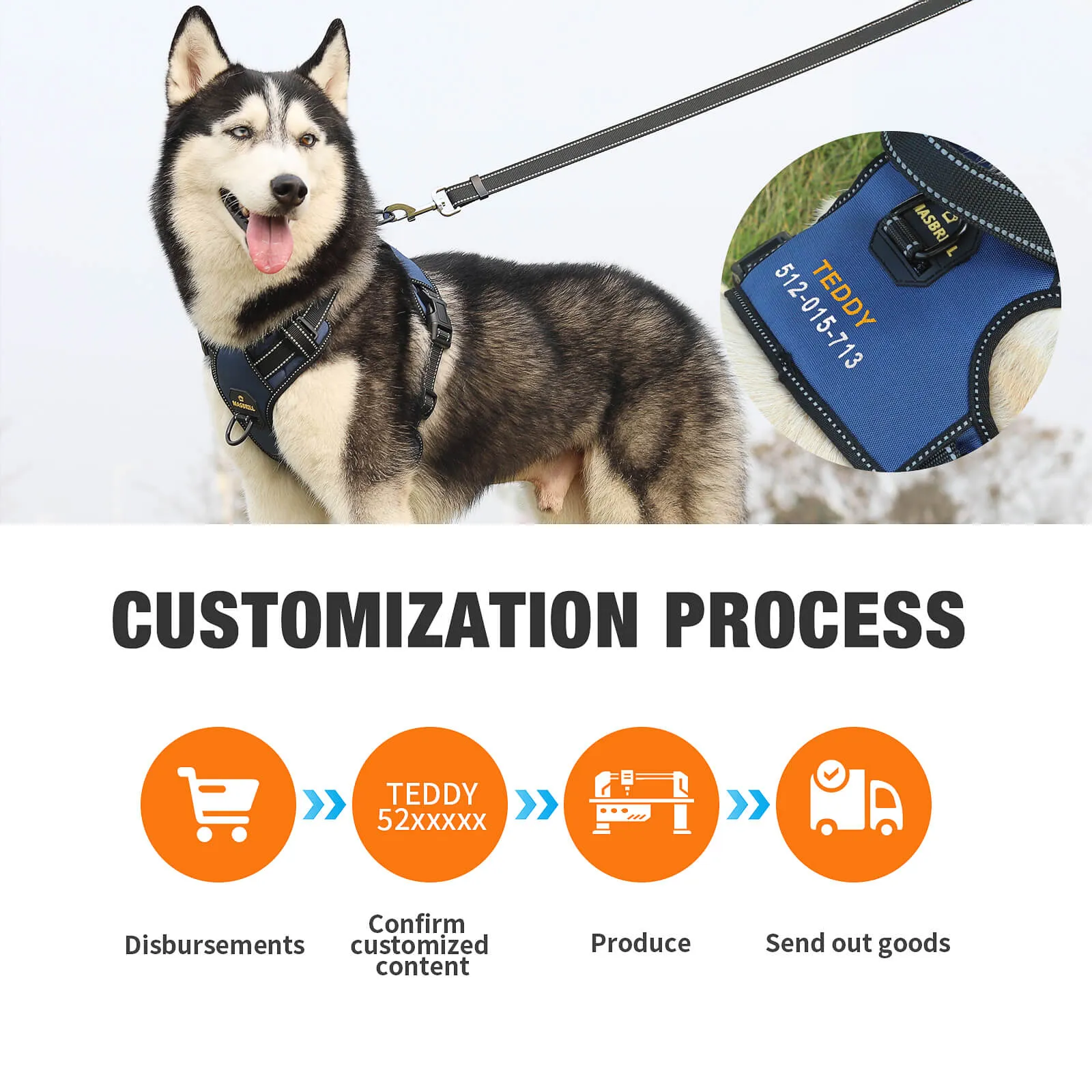 MASBRILL Custom Dog Harness with name