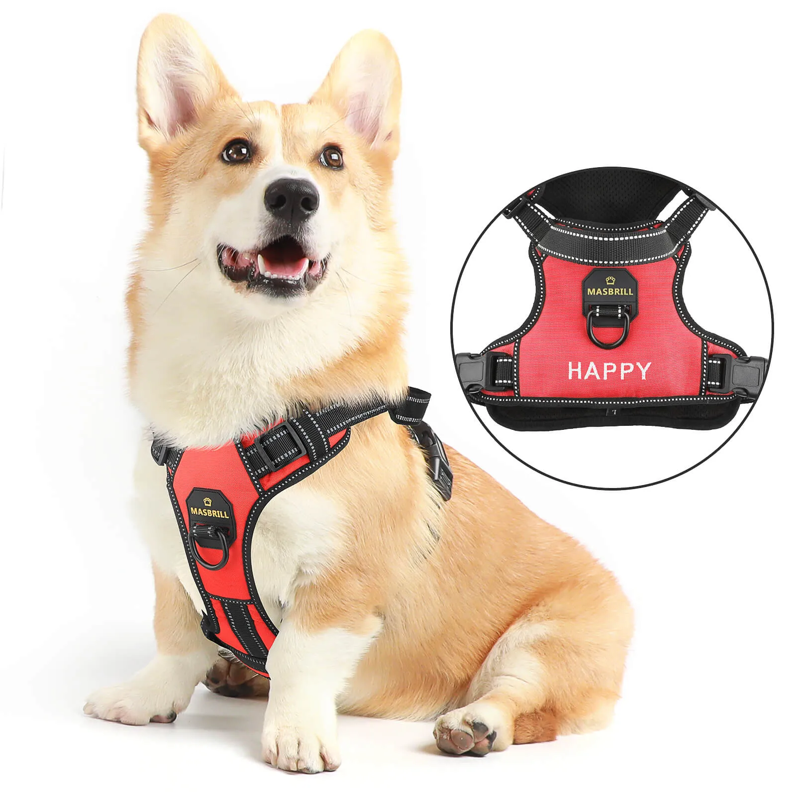MASBRILL Custom Dog Harness with name