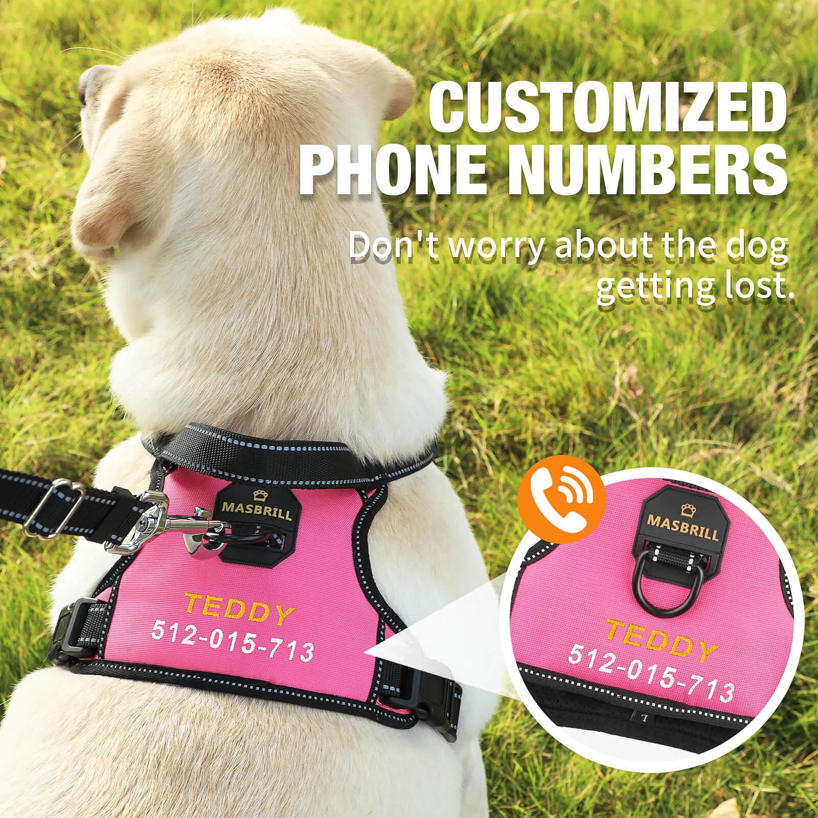 MASBRILL Custom Dog Harness with name