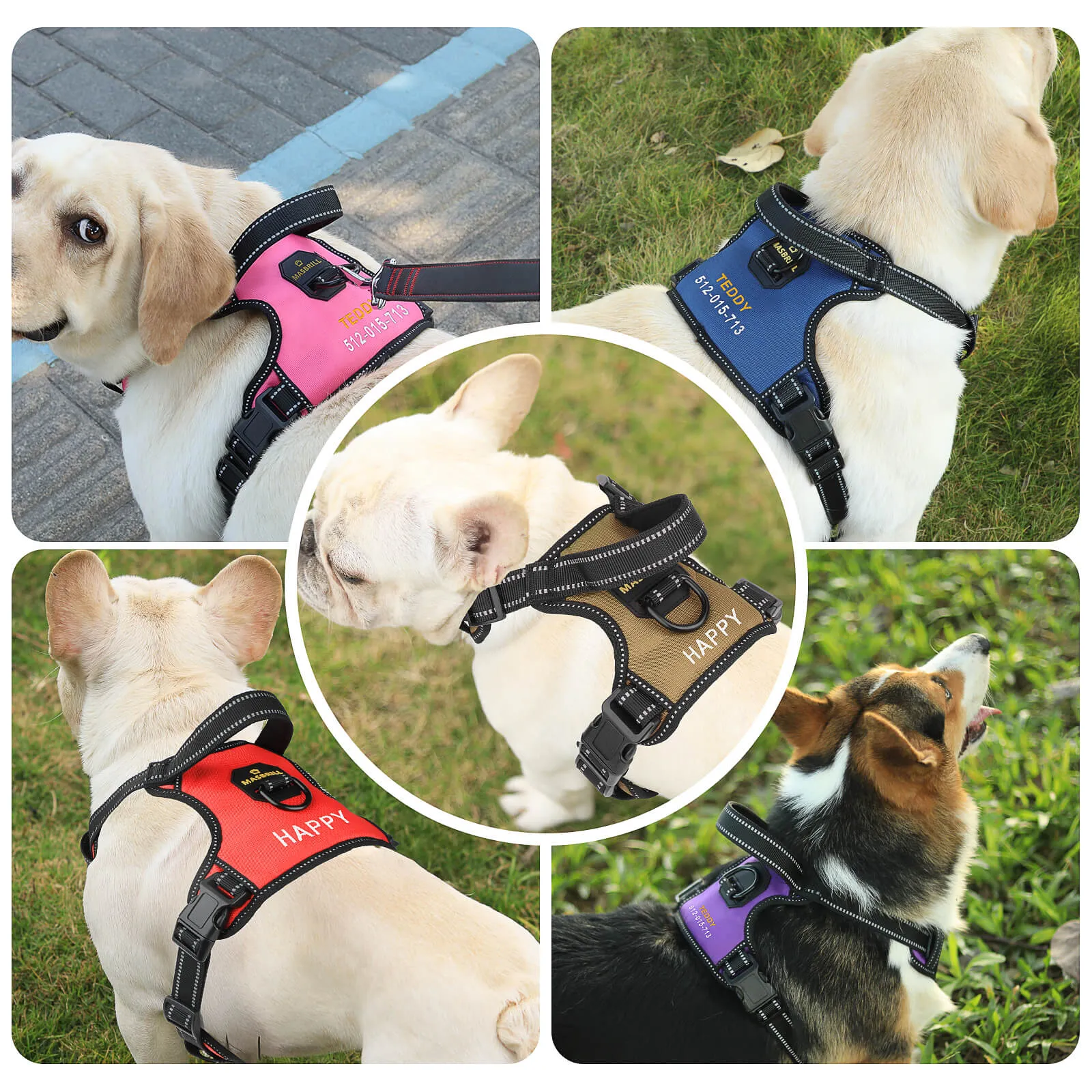 MASBRILL Custom Dog Harness with name