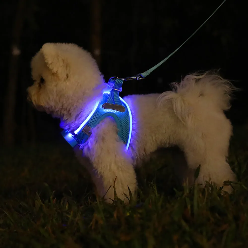 MASBRILL LED dog harness for small dogs