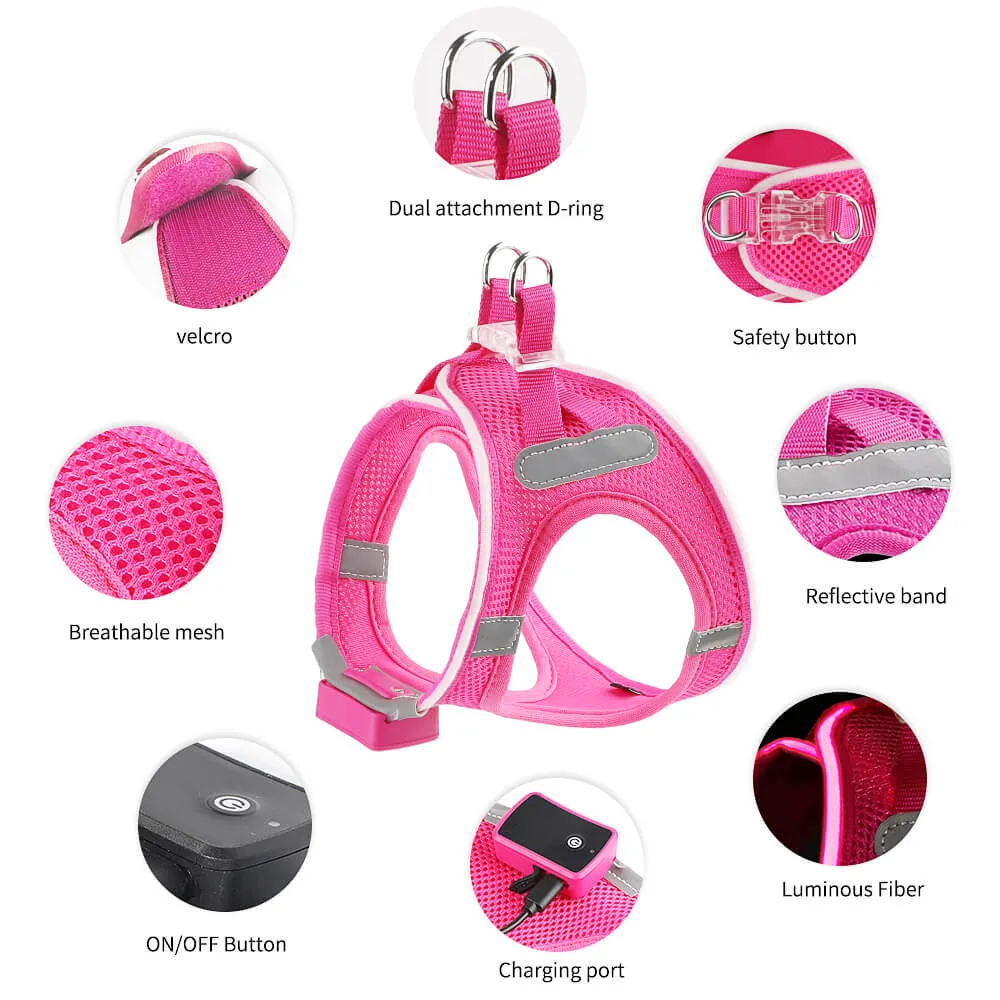 MASBRILL LED dog harness for small dogs