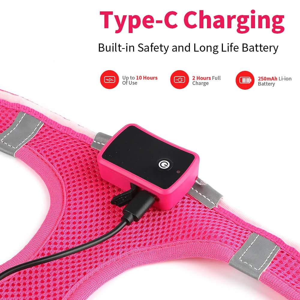 MASBRILL LED dog harness for small dogs