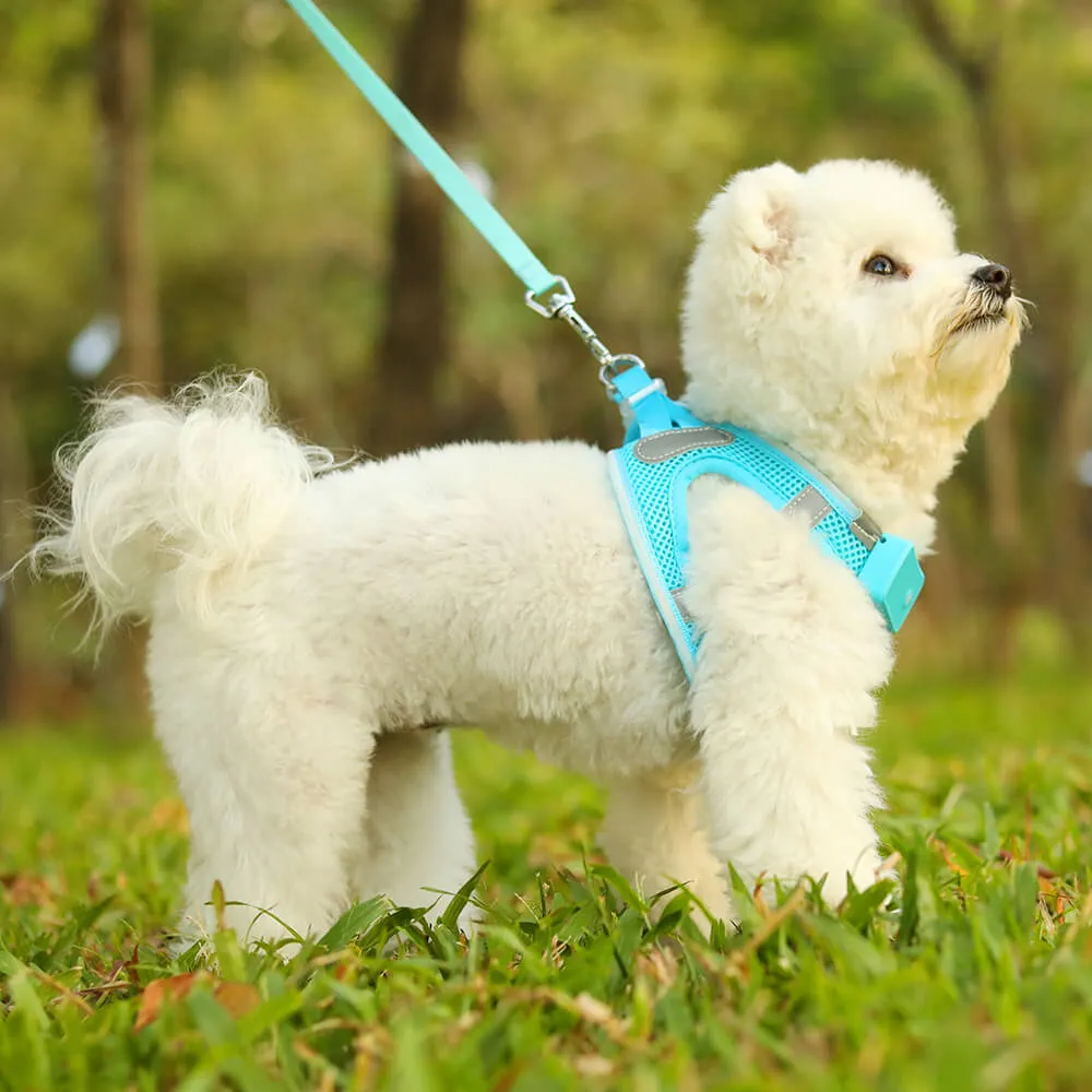 MASBRILL LED dog harness for small dogs