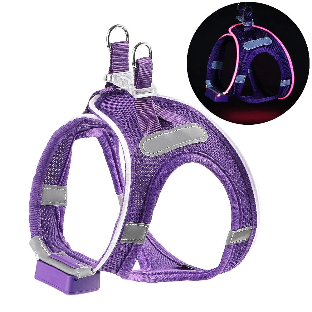 MASBRILL LED dog harness for small dogs